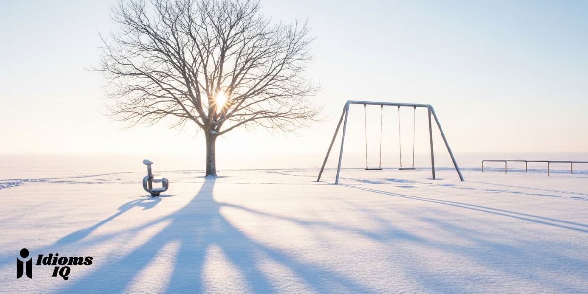 as-cold-as-an-empty-swing-set-in-winter
